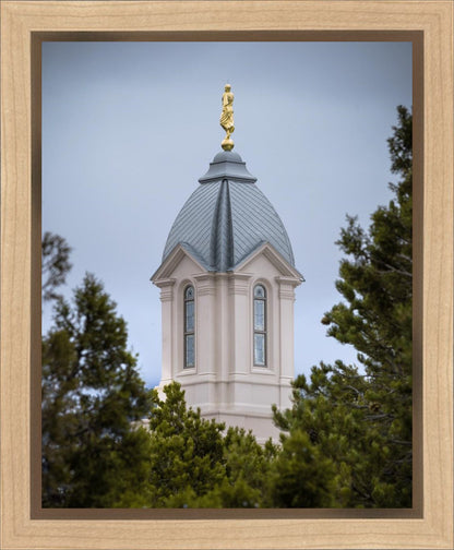 Cedar City Detail Gallery Wrap