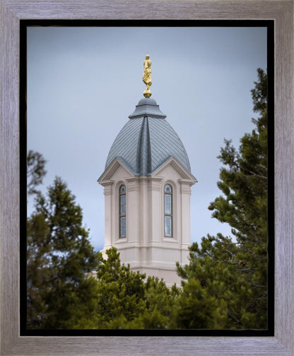 Cedar City Detail Gallery Wrap