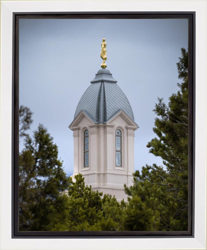 Cedar City Detail Gallery Wrap