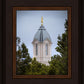 Cedar City Detail