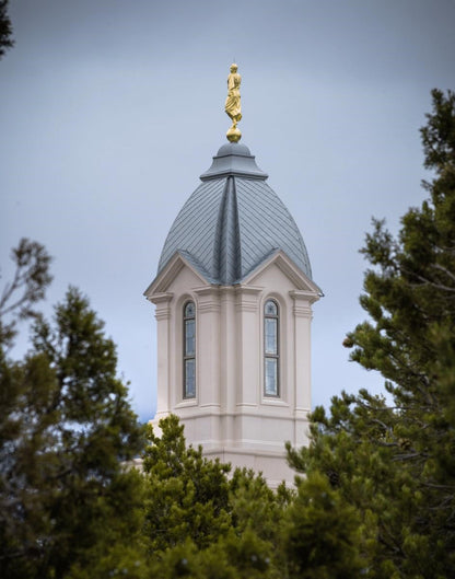 Cedar City Detail Gallery Wrap