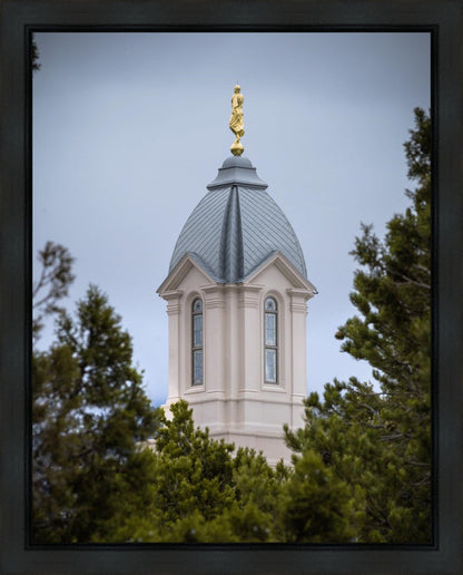 Cedar City Detail Gallery Wrap