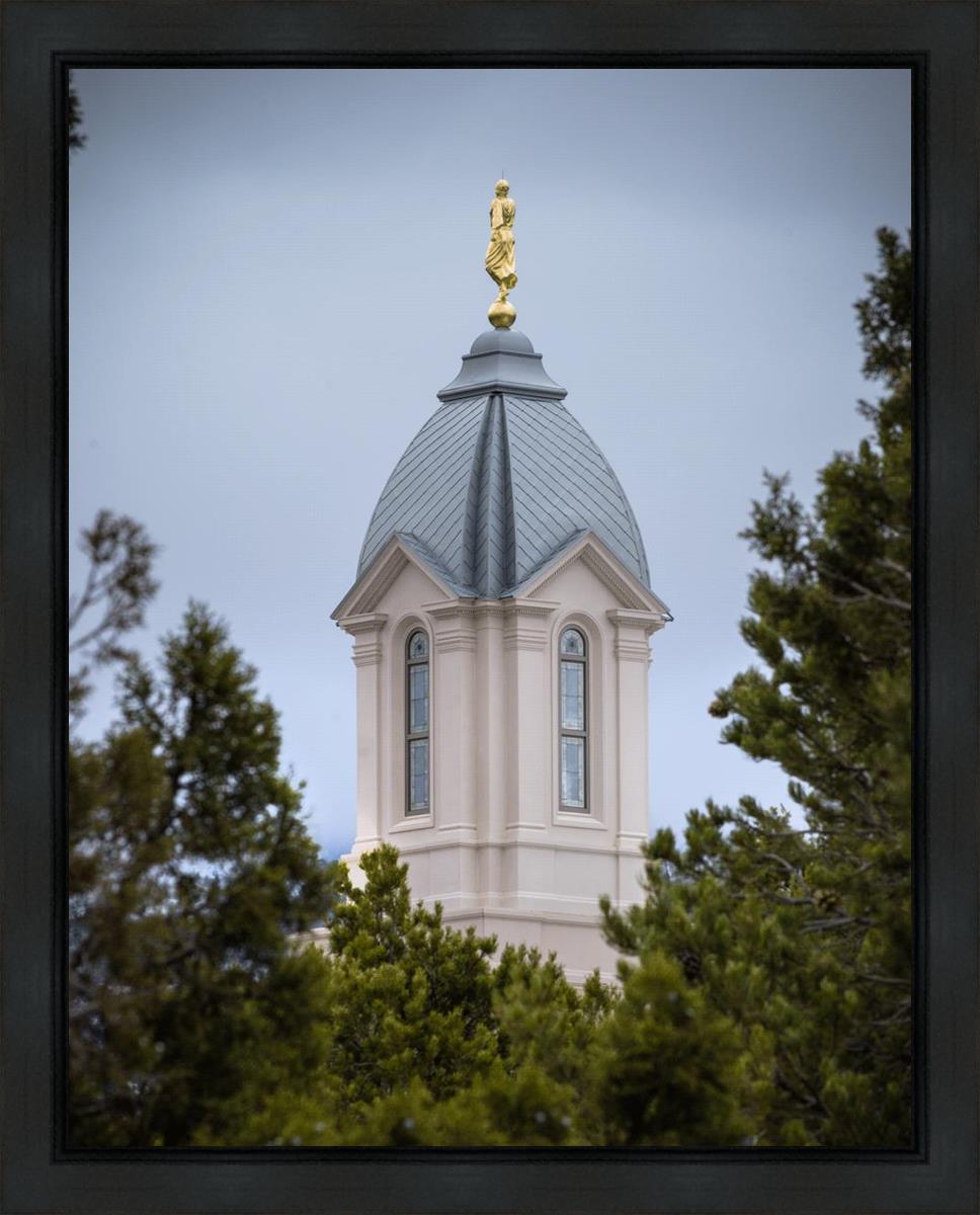 Cedar City Detail Gallery Wrap