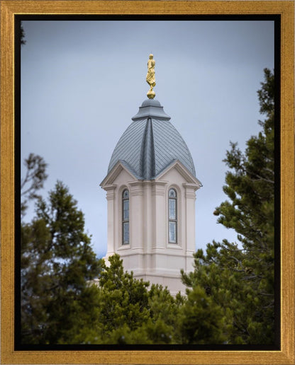 Cedar City Detail Gallery Wrap