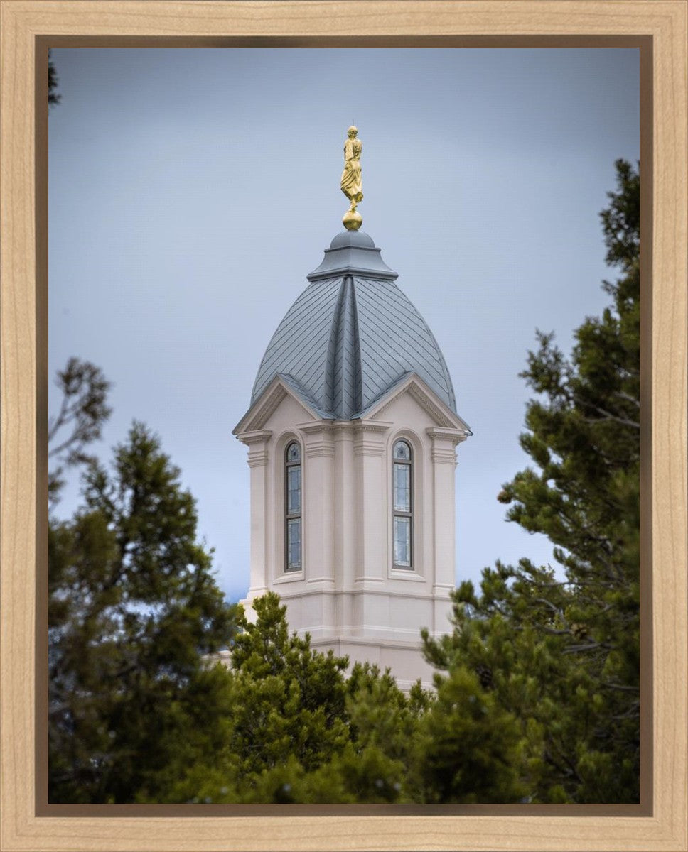 Cedar City Detail Gallery Wrap