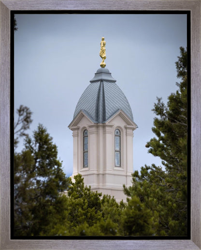 Cedar City Detail Gallery Wrap