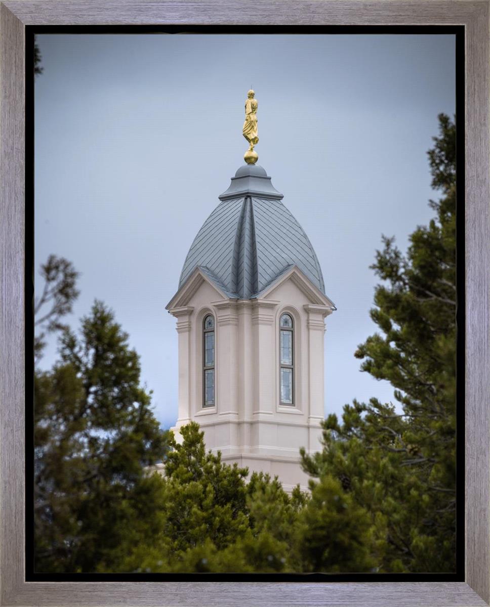 Cedar City Detail Gallery Wrap