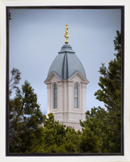 Cedar City Detail Gallery Wrap