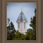 Cedar City Detail