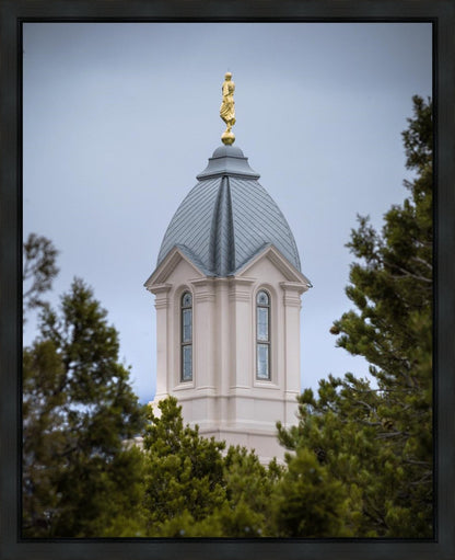 Cedar City Detail Gallery Wrap