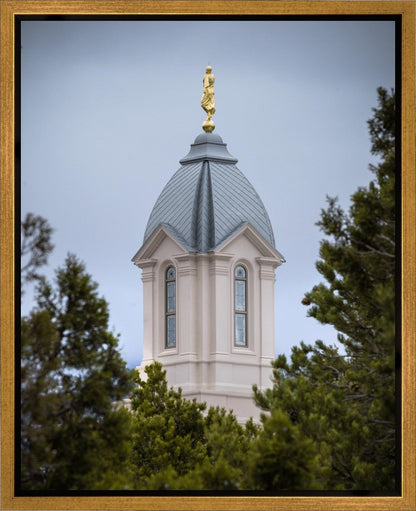 Cedar City Detail Gallery Wrap