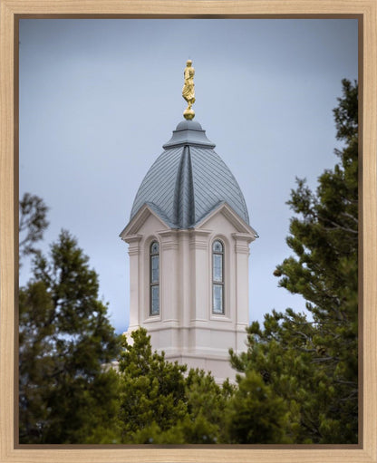 Cedar City Detail Gallery Wrap