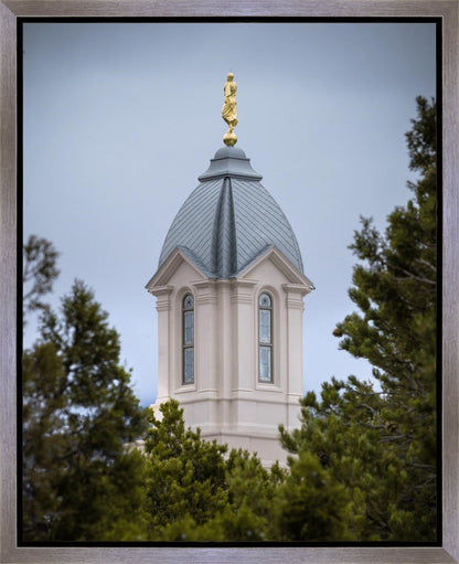 Cedar City Detail Gallery Wrap