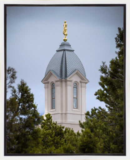 Cedar City Detail Gallery Wrap