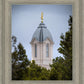 Cedar City Detail