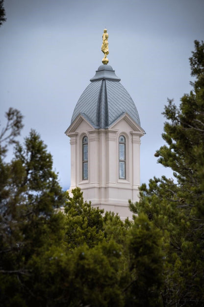 Cedar City Detail Gallery Wrap