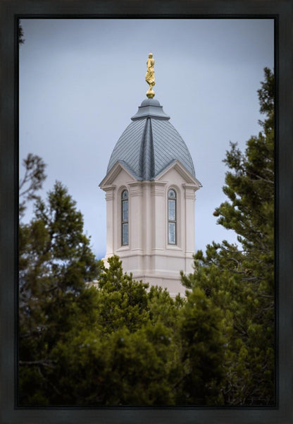 Cedar City Detail Gallery Wrap