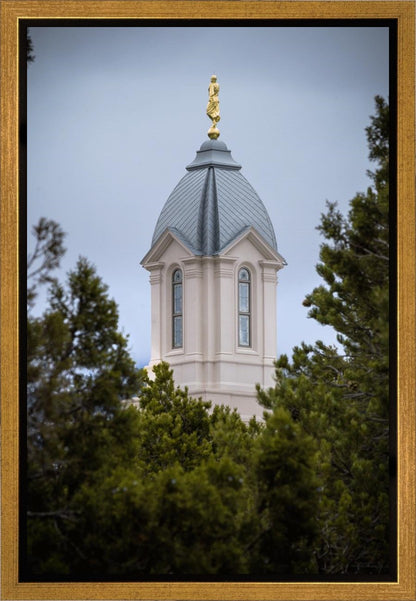 Cedar City Detail Gallery Wrap