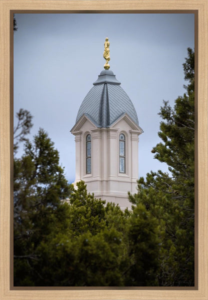 Cedar City Detail Gallery Wrap