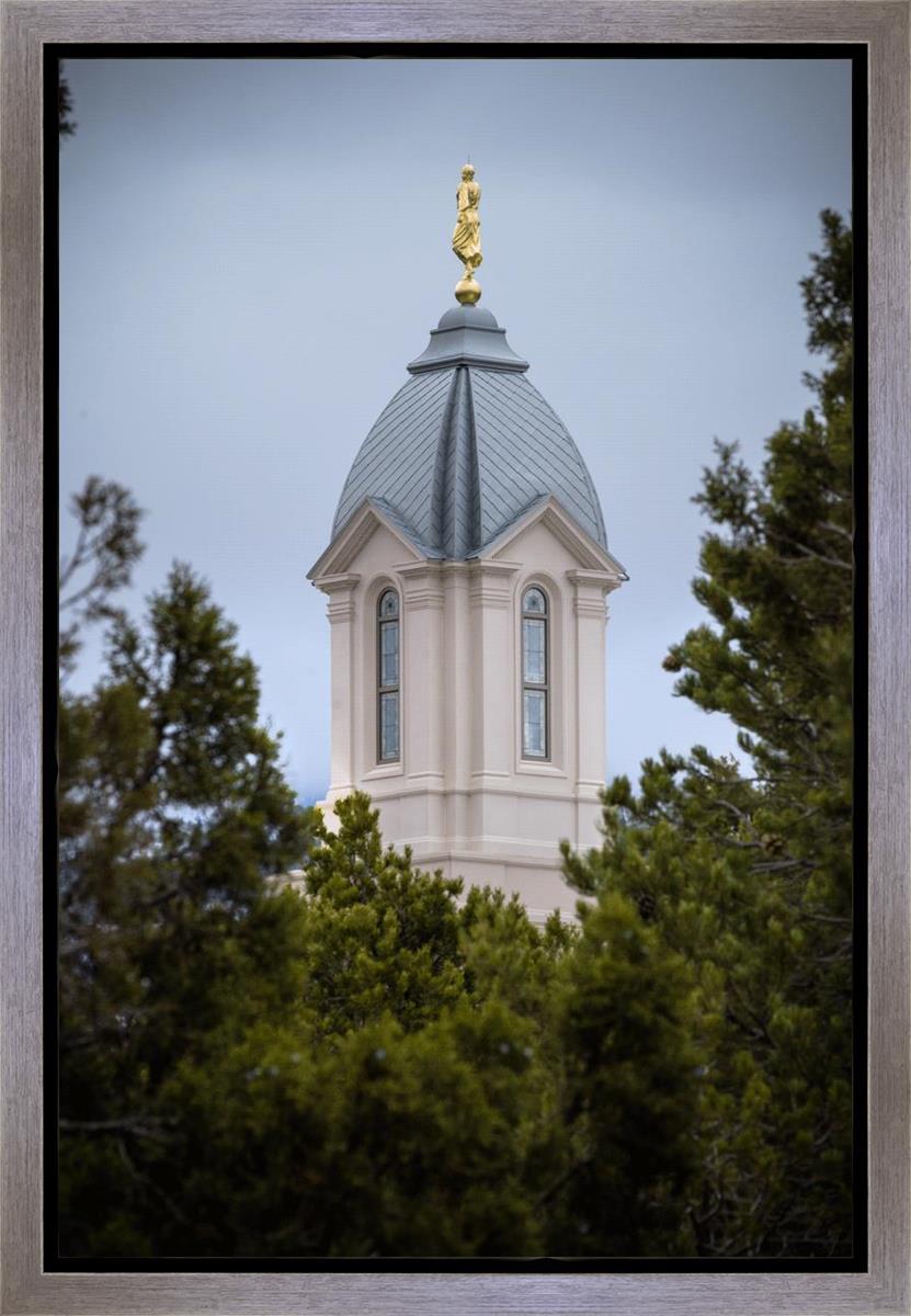 Cedar City Detail Gallery Wrap