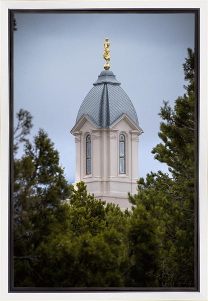 Cedar City Detail Gallery Wrap