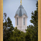 Cedar City Detail