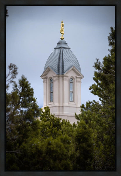 Cedar City Detail Gallery Wrap