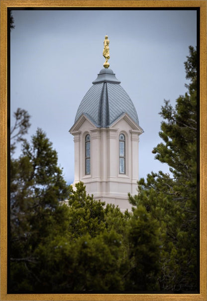 Cedar City Detail Gallery Wrap