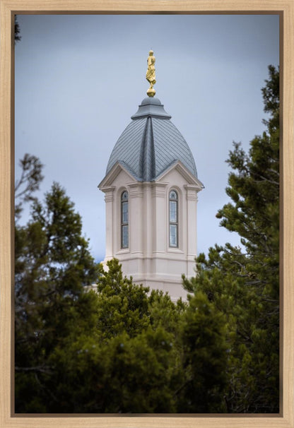 Cedar City Detail Gallery Wrap