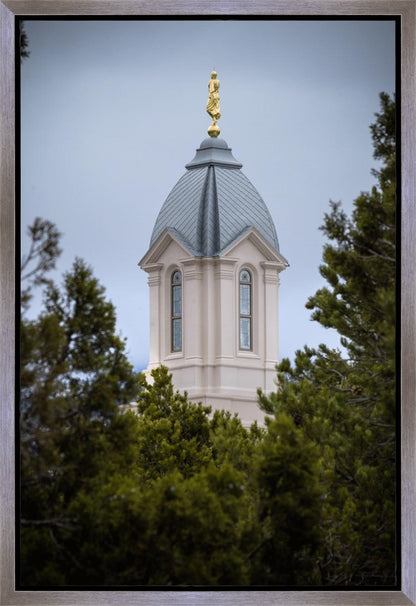 Cedar City Detail Gallery Wrap