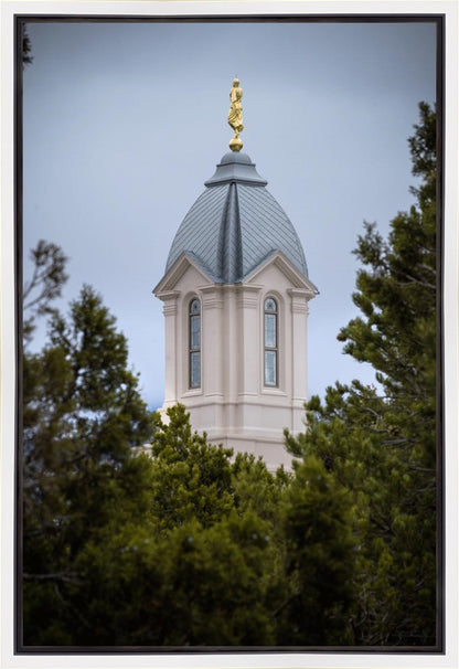 Cedar City Detail Gallery Wrap