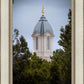 Cedar City Detail