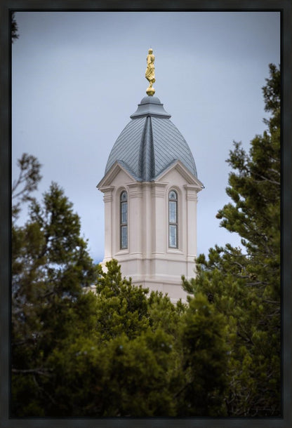 Cedar City Detail Gallery Wrap