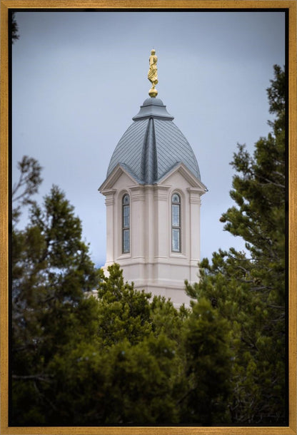 Cedar City Detail Gallery Wrap