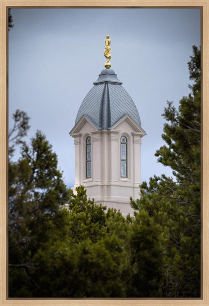 Cedar City Detail Gallery Wrap