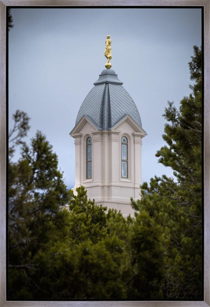 Cedar City Detail Gallery Wrap