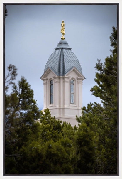 Cedar City Detail Gallery Wrap