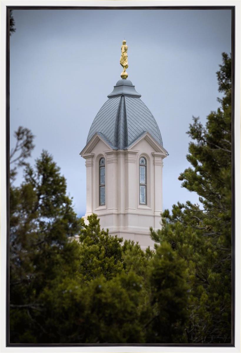 Cedar City Detail Gallery Wrap
