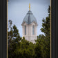 Cedar City Detail
