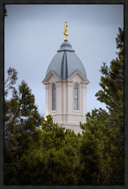 Cedar City Detail Gallery Wrap