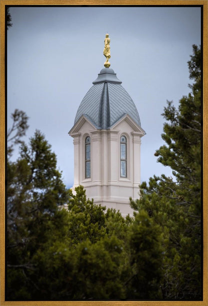 Cedar City Detail Gallery Wrap