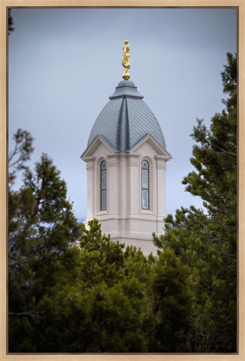 Cedar City Detail Gallery Wrap