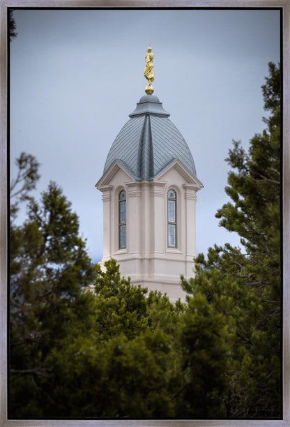 Cedar City Detail Gallery Wrap