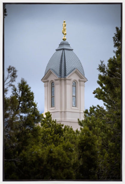 Cedar City Detail Gallery Wrap