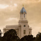 Cedar City Golden Sunshine