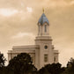 Cedar City Golden Sunshine