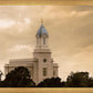 Cedar City Golden Sunshine