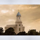 Cedar City Golden Sunshine