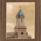 Cedar City Golden Sunshine Vertical