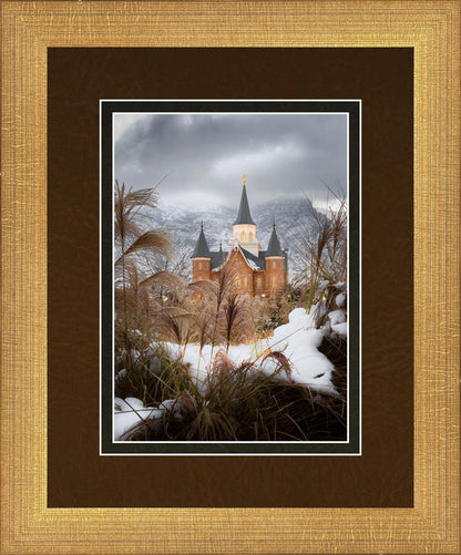 Provo City Center Winter Warmth